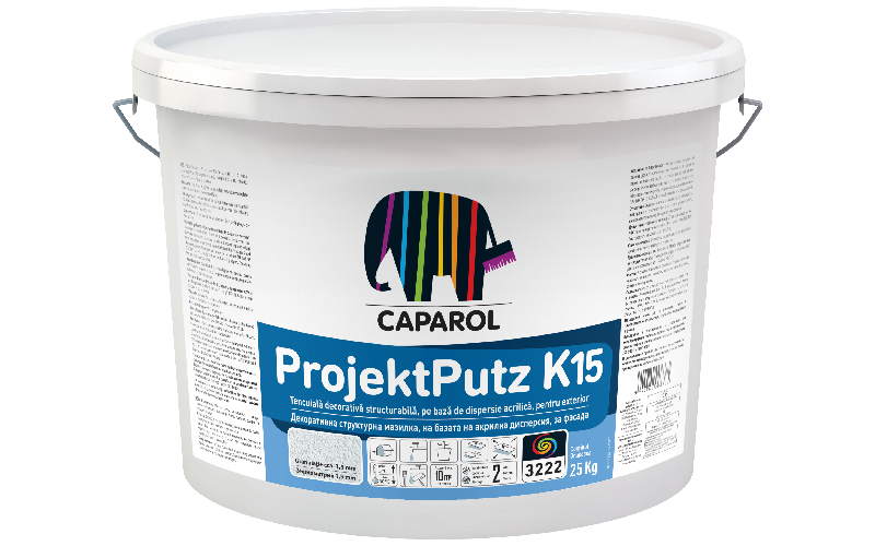 projektputz